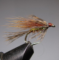 ���� ������ Wet fly 